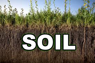 aa 